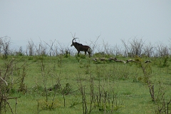 0152-Reis Zuid-Afrika2007